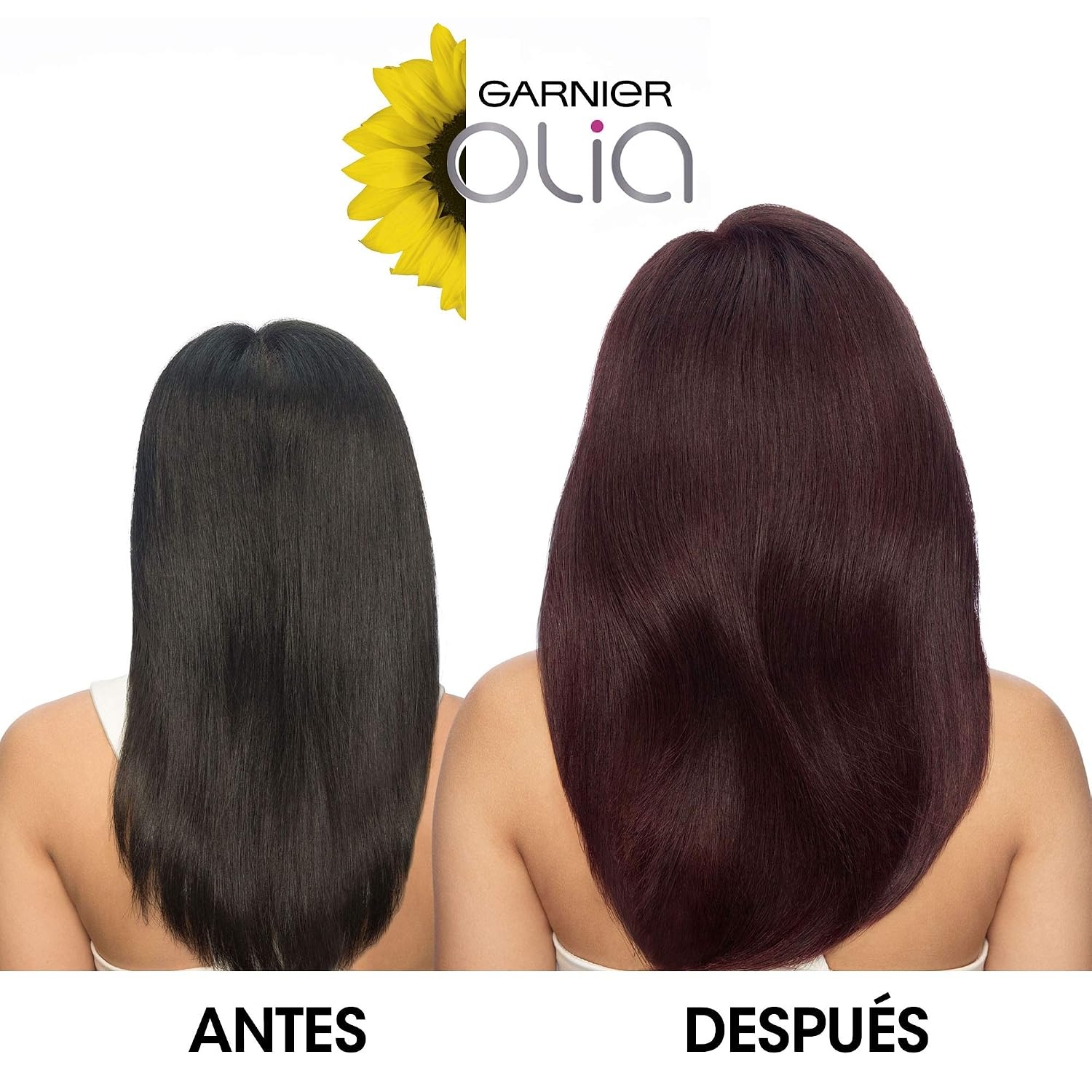 image:imageGarnier Olia Dauerhafte Haarfarbe ohne Ammoniak Mit pflegenden und natrlichen len Vollstndige Grauhaarabdeckung Permanente Coloration Nr 911 Khles Silber 1 Stck316 Tiefer Farbton Violine