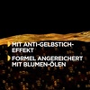 Garnier Haarfarbe Set für Strähnchen und Highlights in blondem Haar, Mit Blüten-Ölen und Tonerde, Ohne Ammoniak und Silikone, Bis zu 4 Stufen Aufhellung, Olia, Blond(150 ml (1er Pack))