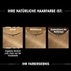 Garnier Olia 8.0 Blond Dauerhafte Haarfarbe ohne Ammoniak mit pflegenden, natürlichen Ölen, Vollständige Grauhaarabdeckung, Permanente Coloration, 1 Stück(1 stück (1er Pack))