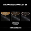Garnier Olia Dauerhafte Haarfarbe, Nr. 1.10 Blauschwarz(174 ml (1er Pack))