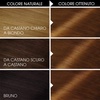 Garnier Olia Dauerhafte Haarfarbe ohne Ammoniak, Mit pflegenden und natürlichen Ölen, Vollständige Grauhaarabdeckung, Permanente Coloration, Nr. 9.11 Kühles Silber, 1 Stück(5.3 goldenes Braun)