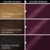Garnier Olia Dauerhafte Haarfarbe ohne Ammoniak, Mit pflegenden und natürlichen Ölen, Vollständige Grauhaarabdeckung, Permanente Coloration, Nr. 9.11 Kühles Silber, 1 Stück(Geige Tieftöner (3.16))
