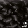 Garnier Olia Dauerhafte Haarfarbe ohne Ammoniak, Mit pflegenden und natürlichen Ölen, Vollständige Grauhaarabdeckung, Permanente Coloration, Nr. 9.11 Kühles Silber, 1 Stück(1.0 Nero Intenso)