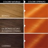 Garnier Olia Dauerhafte Haarfarbe ohne Ammoniak, Mit pflegenden und natürlichen Ölen, Vollständige Grauhaarabdeckung, Permanente Coloration, Nr. 9.11 Kühles Silber, 1 Stück(7.4 intensives Kupfer)