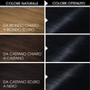 Garnier Olia Dauerhafte Haarfarbe ohne Ammoniak, Mit pflegenden und natürlichen Ölen, Vollständige Grauhaarabdeckung, Permanente Coloration, Nr. 9.11 Kühles Silber, 1 Stück(Nero Zaffiro 1.10)