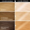 Garnier Olia Dauerhafte Haarfarbe ohne Ammoniak, Mit pflegenden und natürlichen Ölen, Vollständige Grauhaarabdeckung, Permanente Coloration, Nr. 9.11 Kühles Silber, 1 Stück(superblond D+++)