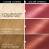 Garnier Olia Dauerhafte Haarfarbe ohne Ammoniak, Mit pflegenden und natürlichen Ölen, Vollständige Grauhaarabdeckung, Permanente Coloration, Nr. 9.11 Kühles Silber, 1 Stück(Rosa Intenso 7.22)