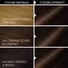 Garnier Olia Dauerhafte Haarfarbe ohne Ammoniak, Mit pflegenden und natürlichen Ölen, Vollständige Grauhaarabdeckung, Permanente Coloration, Nr. 9.11 Kühles Silber, 1 Stück(4.0 dunkelbraun)