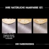 Garnier Olia Dauerhafte Haarfarbe ohne Ammoniak, Mit pflegenden und natürlichen Ölen, Vollständige Grauhaarabdeckung, Permanente Coloration, Nr. 9.11 Kühles Silber, 1 Stück(9.11 Kühles Silber)