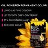 Garnier Olia Dauerhafte Haarfarbe ohne Ammoniak, Mit pflegenden und natürlichen Ölen, Vollständige Grauhaarabdeckung, Permanente Coloration, Nr. 9.11 Kühles Silber, 1 Stück(4.3 Dark Golden Brown)