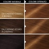 Garnier Olia Dauerhafte Haarfarbe ohne Ammoniak, Mit pflegenden und natürlichen Ölen, Vollständige Grauhaarabdeckung, Permanente Coloration, Nr. 9.11 Kühles Silber, 1 Stück(6.3 Castano Chiaro Dora)
