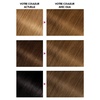 Garnier Olia Dauerhafte Haarfarbe ohne Ammoniak, Mit pflegenden und natürlichen Ölen, Vollständige Grauhaarabdeckung, Permanente Coloration, Nr. 9.11 Kühles Silber, 1 Stück(6.3)