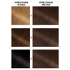 Garnier Olia Dauerhafte Haarfarbe ohne Ammoniak, Mit pflegenden und natürlichen Ölen, Vollständige Grauhaarabdeckung, Permanente Coloration, Nr. 9.11 Kühles Silber, 1 Stück(Châtain Clair Fondant)