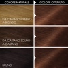 Garnier Olia Dauerhafte Haarfarbe ohne Ammoniak, Mit pflegenden und natürlichen Ölen, Vollständige Grauhaarabdeckung, Permanente Coloration, Nr. 9.11 Kühles Silber, 1 Stück(5.35 braune Schokolade)