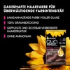 Garnier Olia Dauerhafte Haarfarbe ohne Ammoniak, Mit pflegenden und natürlichen Ölen, Vollständige Grauhaarabdeckung, Permanente Coloration, Nr. 9.11 Kühles Silber, 1 Stück(6.12 Schimmerndes Hellbraun)