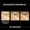 Garnier Olia Dauerhafte Haarfarbe ohne Ammoniak, Mit pflegenden und natürlichen Ölen, Vollständige Grauhaarabdeckung, Permanente Coloration, Nr. 9.11 Kühles Silber, 1 Stück(9.3 Sehr helles Goldblond)