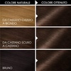 Garnier Olia Dauerhafte Haarfarbe ohne Ammoniak, Mit pflegenden und natürlichen Ölen, Vollständige Grauhaarabdeckung, Permanente Coloration, Nr. 9.11 Kühles Silber, 1 Stück(5.0 Castano)