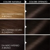 Garnier Olia Dauerhafte Haarfarbe ohne Ammoniak, Mit pflegenden und natürlichen Ölen, Vollständige Grauhaarabdeckung, Permanente Coloration, Nr. 9.11 Kühles Silber, 1 Stück(schwarz (3.0 Nero Naturale))
