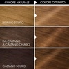 Garnier Olia Dauerhafte Haarfarbe ohne Ammoniak, Mit pflegenden und natürlichen Ölen, Vollständige Grauhaarabdeckung, Permanente Coloration, Nr. 9.11 Kühles Silber, 1 Stück(7.3 Biondo Dorato)