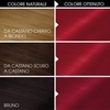 Garnier Olia Dauerhafte Haarfarbe ohne Ammoniak, Mit pflegenden und natürlichen Ölen, Vollständige Grauhaarabdeckung, Permanente Coloration, Nr. 9.11 Kühles Silber, 1 Stück(6.60 Intensives Rot)