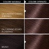 Garnier Olia Dauerhafte Haarfarbe ohne Ammoniak, Mit pflegenden und natürlichen Ölen, Vollständige Grauhaarabdeckung, Permanente Coloration, Nr. 9.11 Kühles Silber, 1 Stück(Marron Glacé (4 15))
