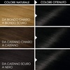 Garnier Olia Dauerhafte Haarfarbe ohne Ammoniak, Mit pflegenden und natürlichen Ölen, Vollständige Grauhaarabdeckung, Permanente Coloration, Nr. 9.11 Kühles Silber, 1 Stück(1.0 Nero Intenso)