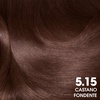 Garnier Olia Dauerhafte Haarfarbe ohne Ammoniak, Mit pflegenden und natürlichen Ölen, Vollständige Grauhaarabdeckung, Permanente Coloration, Nr. 9.11 Kühles Silber, 1 Stück(5.15 dunkle Kastanie)