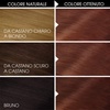 Garnier Olia Dauerhafte Haarfarbe ohne Ammoniak, Mit pflegenden und natürlichen Ölen, Vollständige Grauhaarabdeckung, Permanente Coloration, Nr. 9.11 Kühles Silber, 1 Stück(5.5 Mogano)