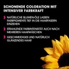 Garnier Olia Dauerhafte Haarfarbe ohne Ammoniak, Mit pflegenden und natürlichen Ölen, Vollständige Grauhaarabdeckung, Permanente Coloration, Nr. 9.11 Kühles Silber, 1 Stück(6.12 Schimmerndes Hellbraun)