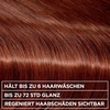 Garnier Olia Haarfarbe & Gloss Set