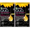 Garnier Olia Haarfarbe, ohne Ammoniak, deckt weißes Haar, Goldbraun(Intensives Schwarz)