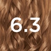 Garnier Nutrisse Creme Nr. 100 Extra Helles Naturblond, dauerhafte Pflege-Haarfarbe, mit nährenden Fruchtölen, 100% Grauabdeckung(6.3 Caramel Light Brown)