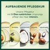 Garnier Nutrisse Dauerhafte Pflege-Haarfarbe mit nährenden Fruchtölen, Coloration mit 8 Wochen Halt, Ultra Crème Tönung, 8N Nude Natürliches Blond(53 Samtbraun)
