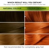 Garnier Nutrisse Dauerhafte Pflege-Haarfarbe mit nährenden Fruchtölen, Coloration mit 8 Wochen Halt, Ultra Crème Tönung, 8N Nude Natürliches Blond(7.40 Copper Passion)