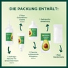 Garnier Nutrisse Dauerhafte Pflege-Haarfarbe mit nährenden Fruchtölen, Coloration mit 8 Wochen Halt, Ultra Crème Tönung, 8N Nude Natürliches Blond(Dunkles Goldblond)
