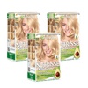 Garnier Nutrisse Dauerhafte Pflege-Haarfarbe mit nährenden Fruchtölen, Coloration mit 8 Wochen Halt, Ultra Crème Tönung, 8N Nude Natürliches Blond(Helles Natur-Blond)